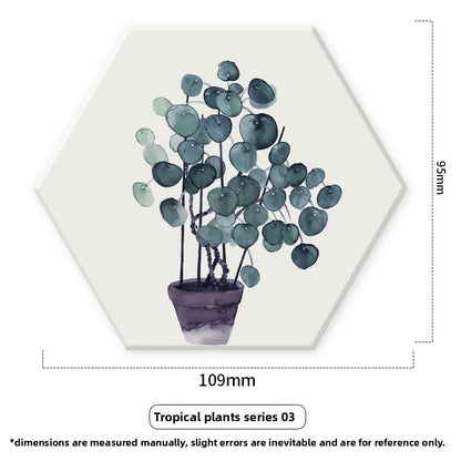 Diatomite Coaster