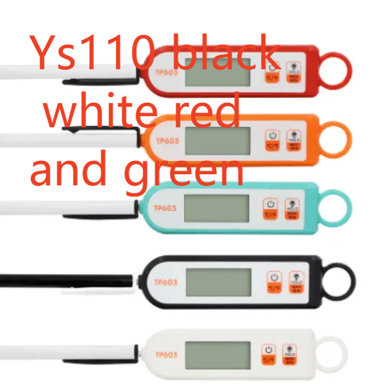 Digital Food Thermometer