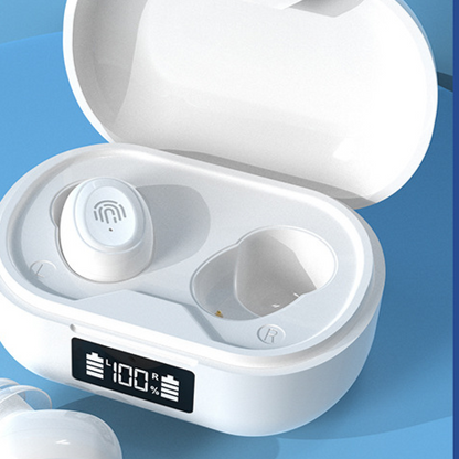 Digital Hearing Aid