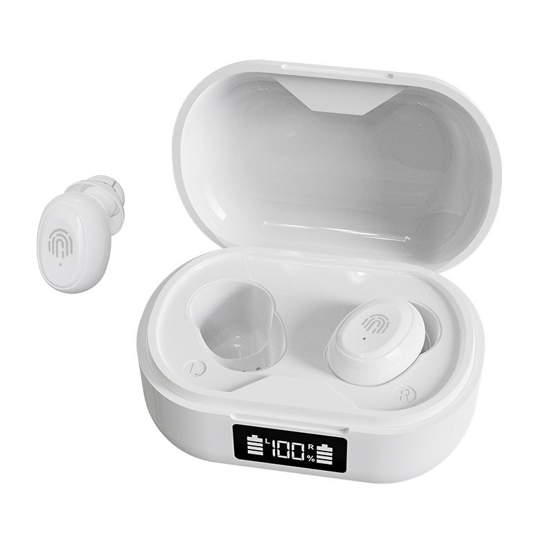 Digital Hearing Aid