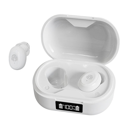 Digital Hearing Aid