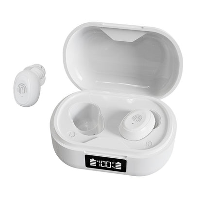 Digital Hearing Aid