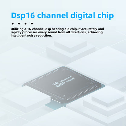 Digital Hearing Aid