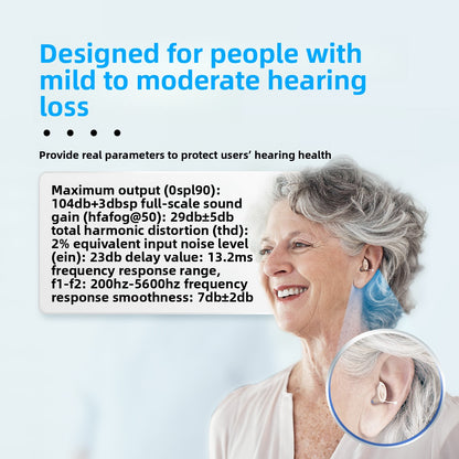 Digital Hearing Aid