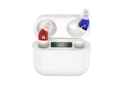 Digital Hearing Aid with Charging Case