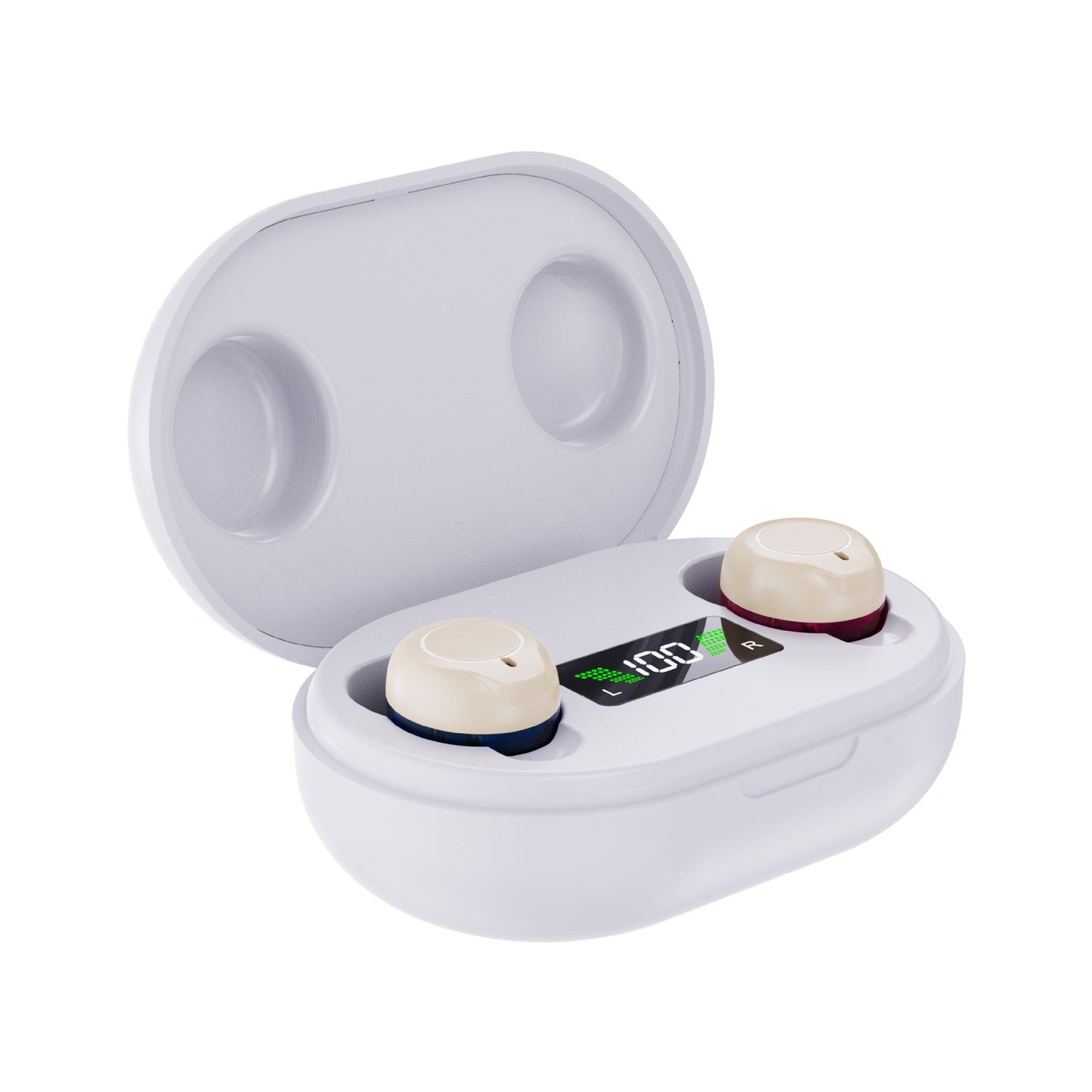 Digital Hearing Aid with Charging Case