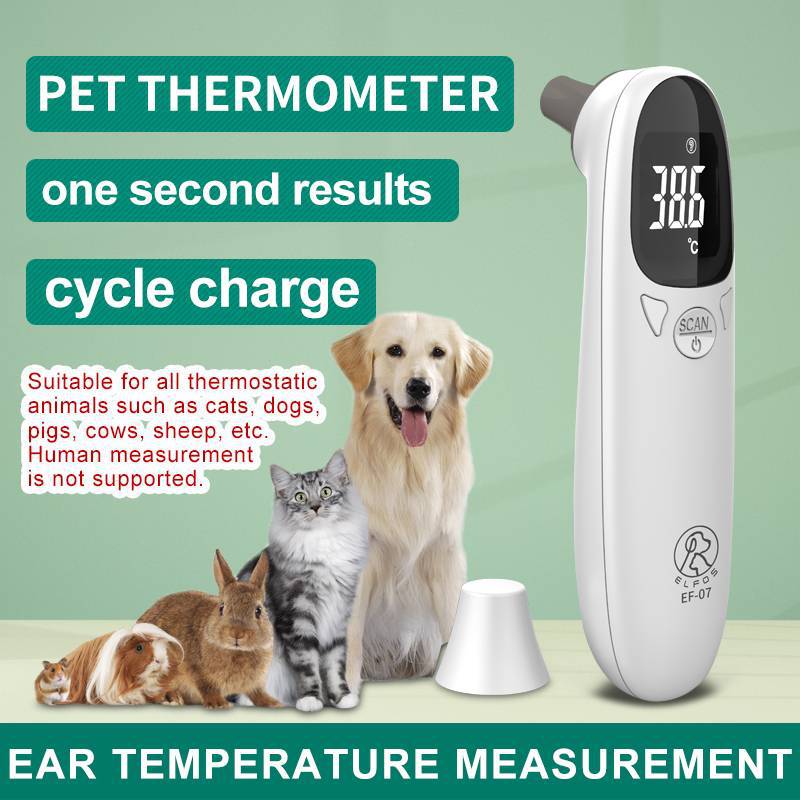 Digital Pet Thermometer