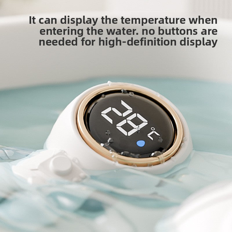 Digital Thermometer