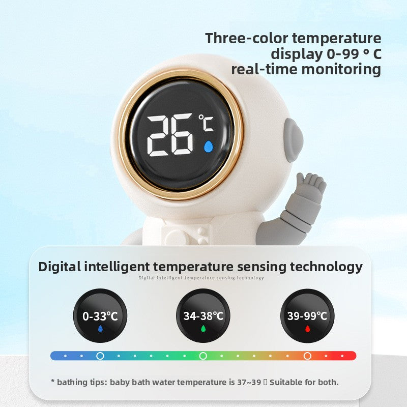 Digital Thermometer