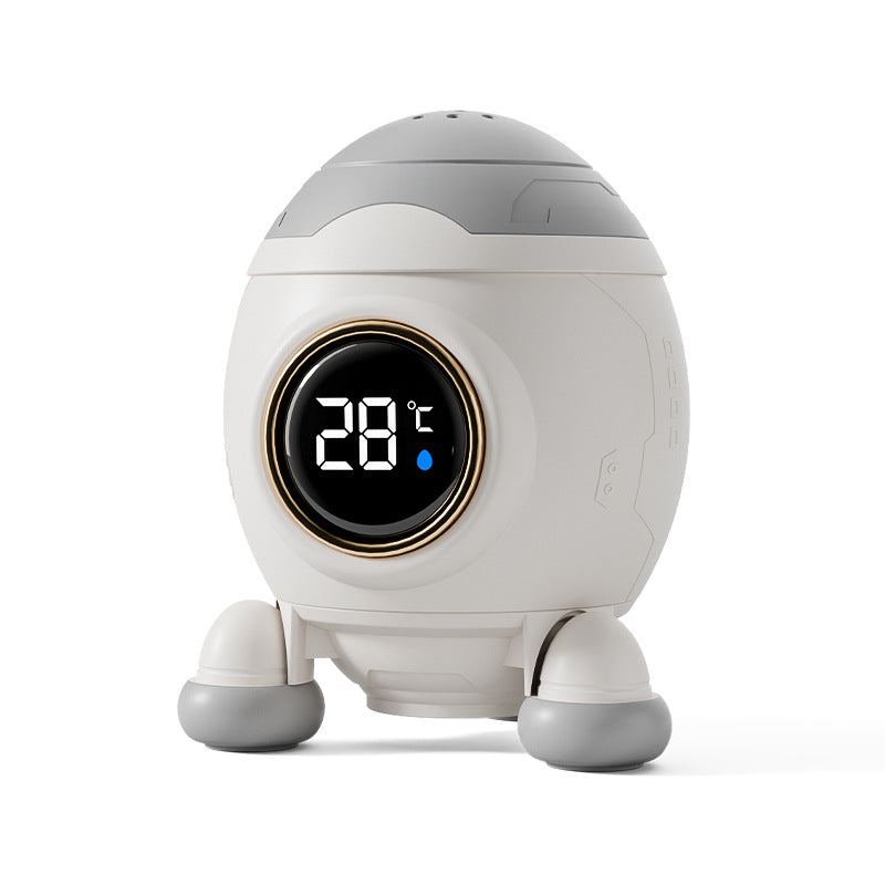 Digital Thermometer