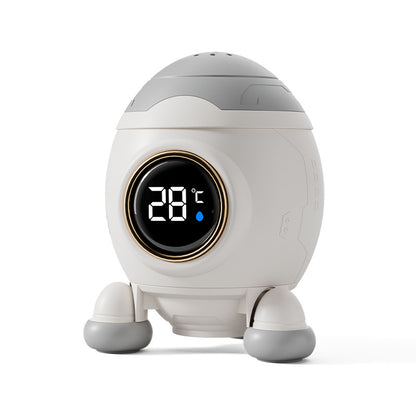 Digital Thermometer