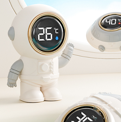 Digital Thermometer