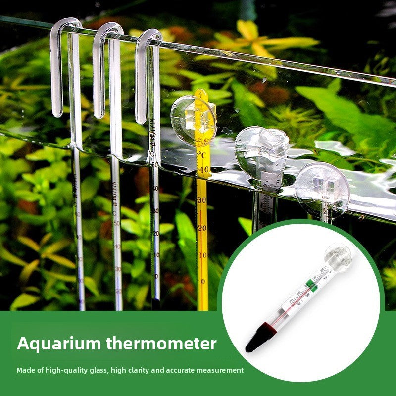 Digital Thermometer