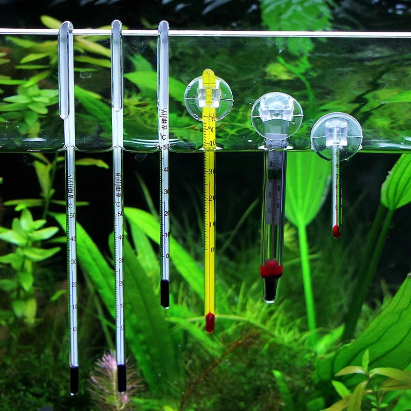 Digital Thermometer