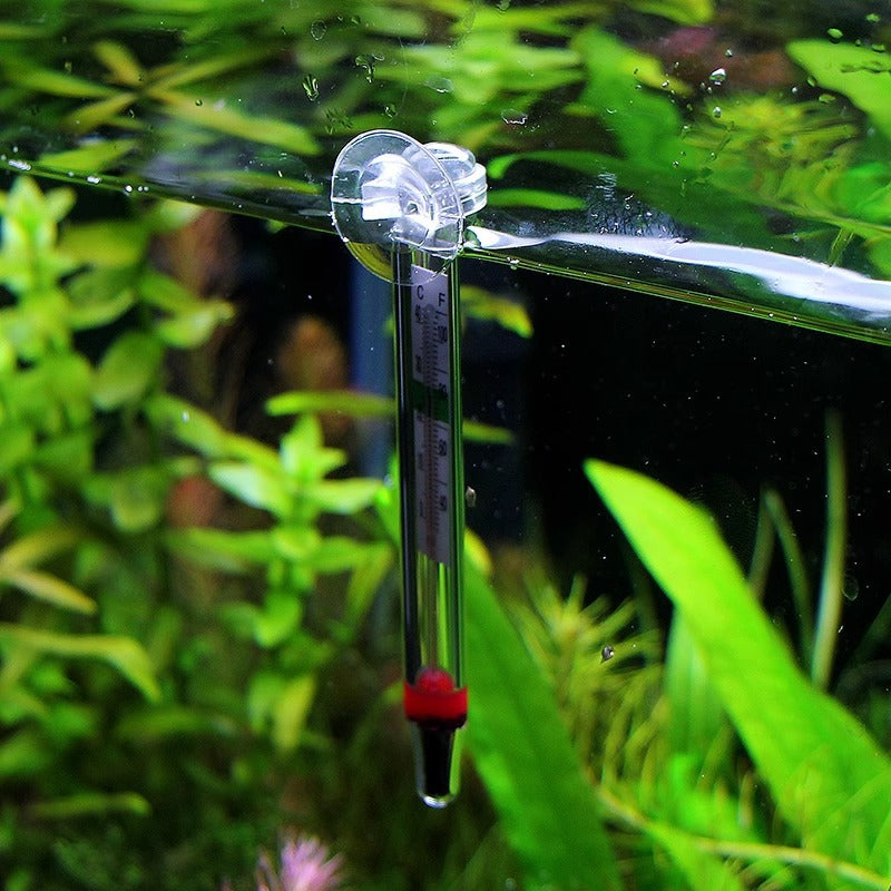 Digital Thermometer