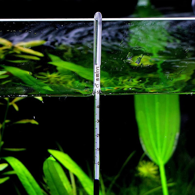 Digital Thermometer