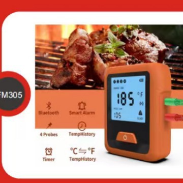 Digital Thermometer