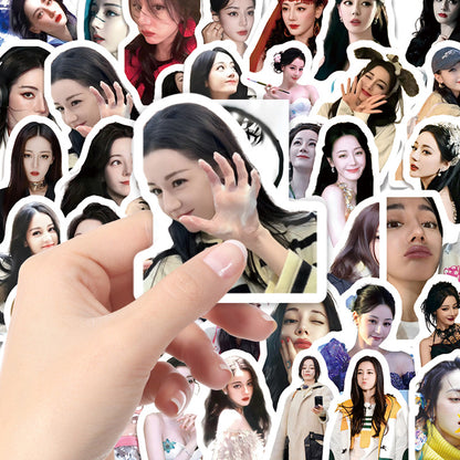 Dilraba Themed Vinyl Sticker Sheets