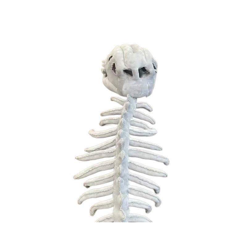 Dinosaur Park Dinosaur Skeleton