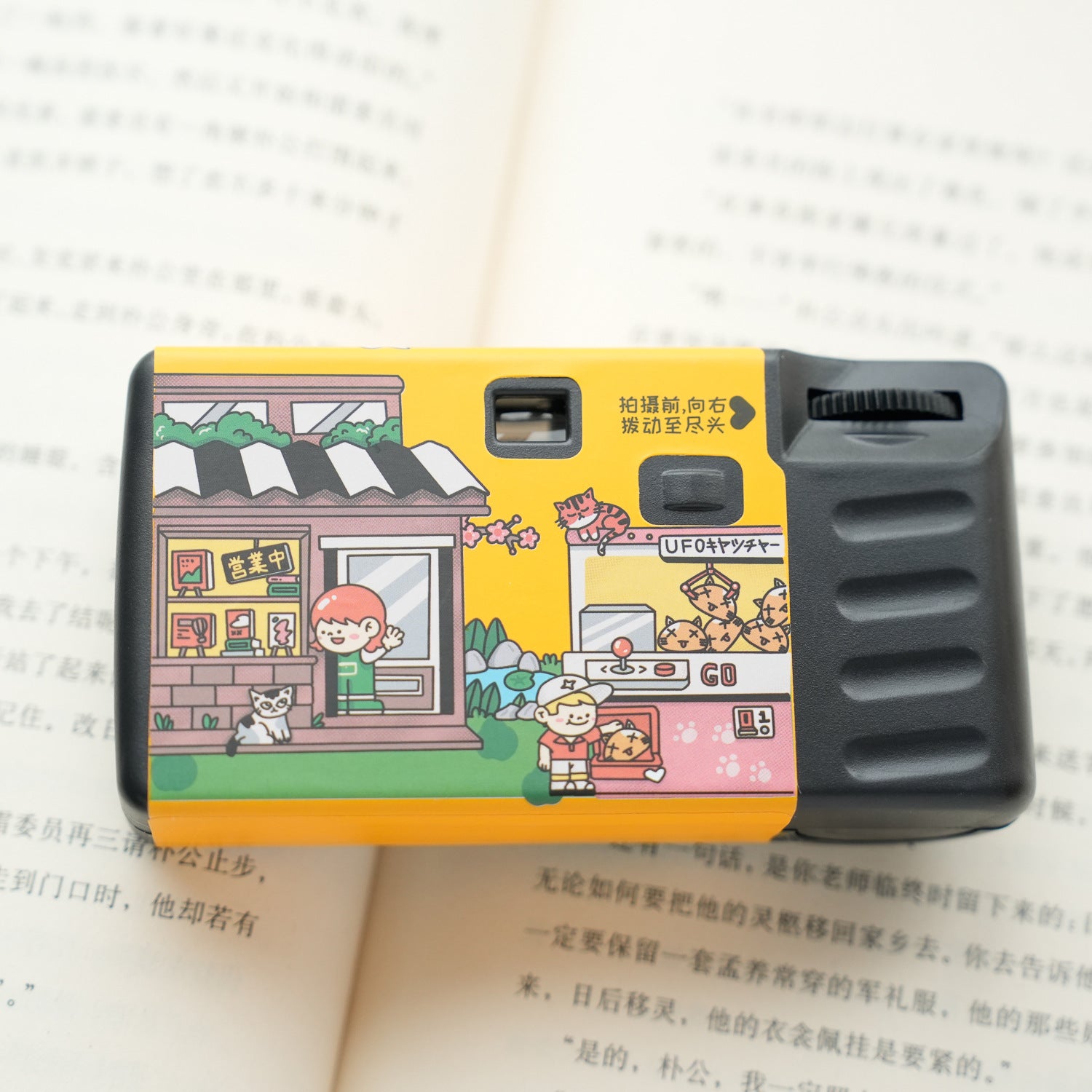 Disposable Camera
