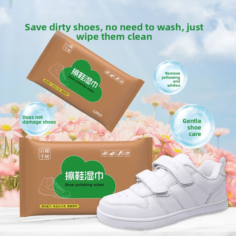 Disposable cleaning no-rinse and stain-removing wet wipes