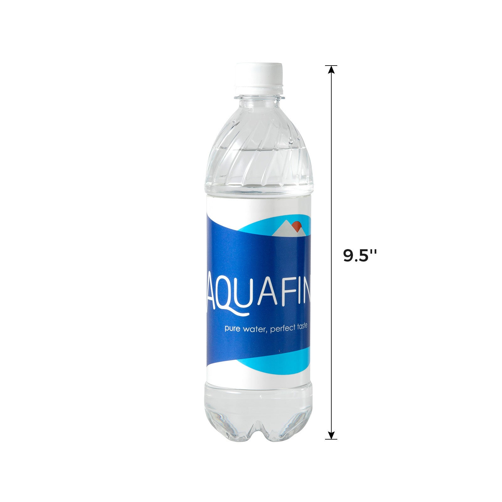 Diversion Water Bottle Safe