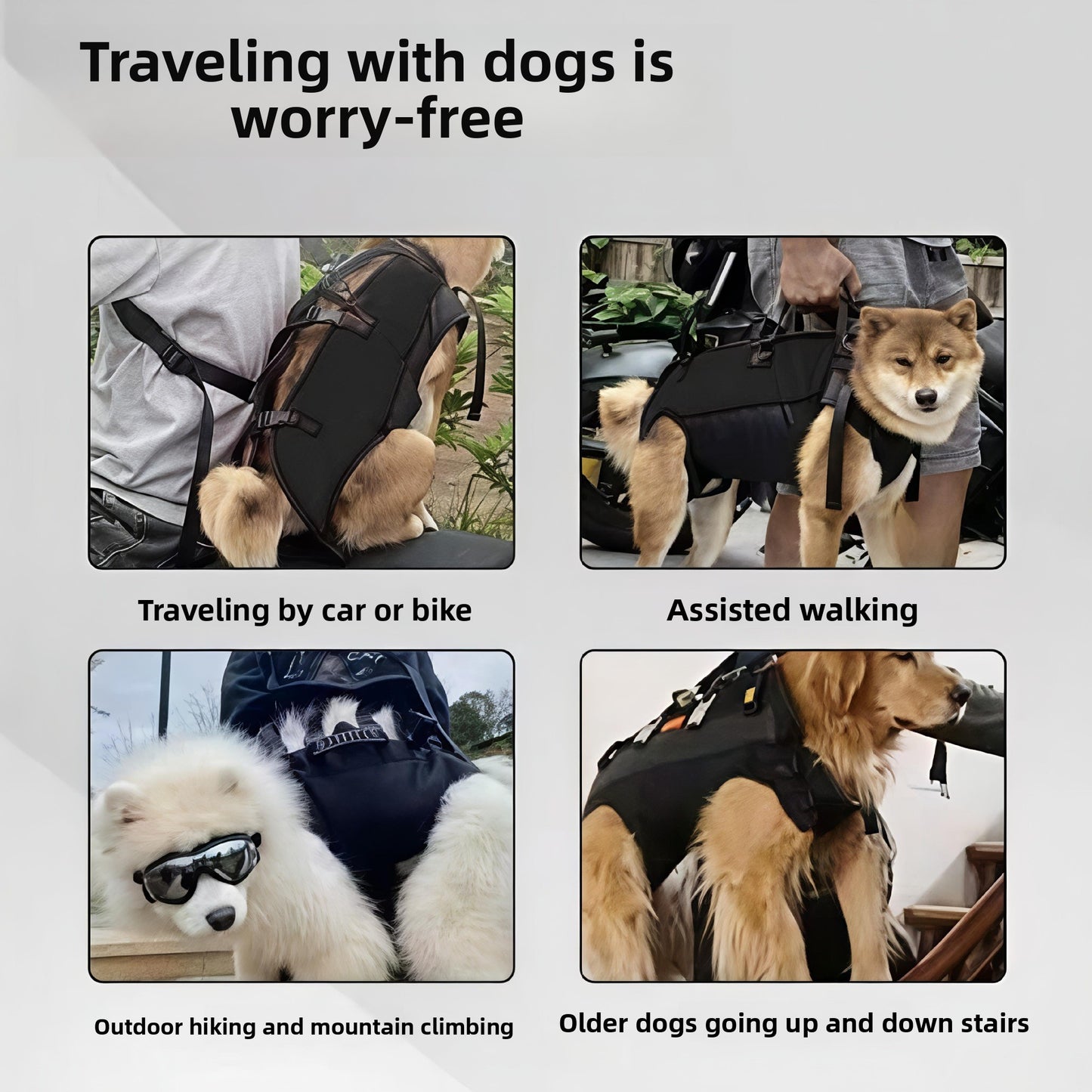 Dog Backpack
