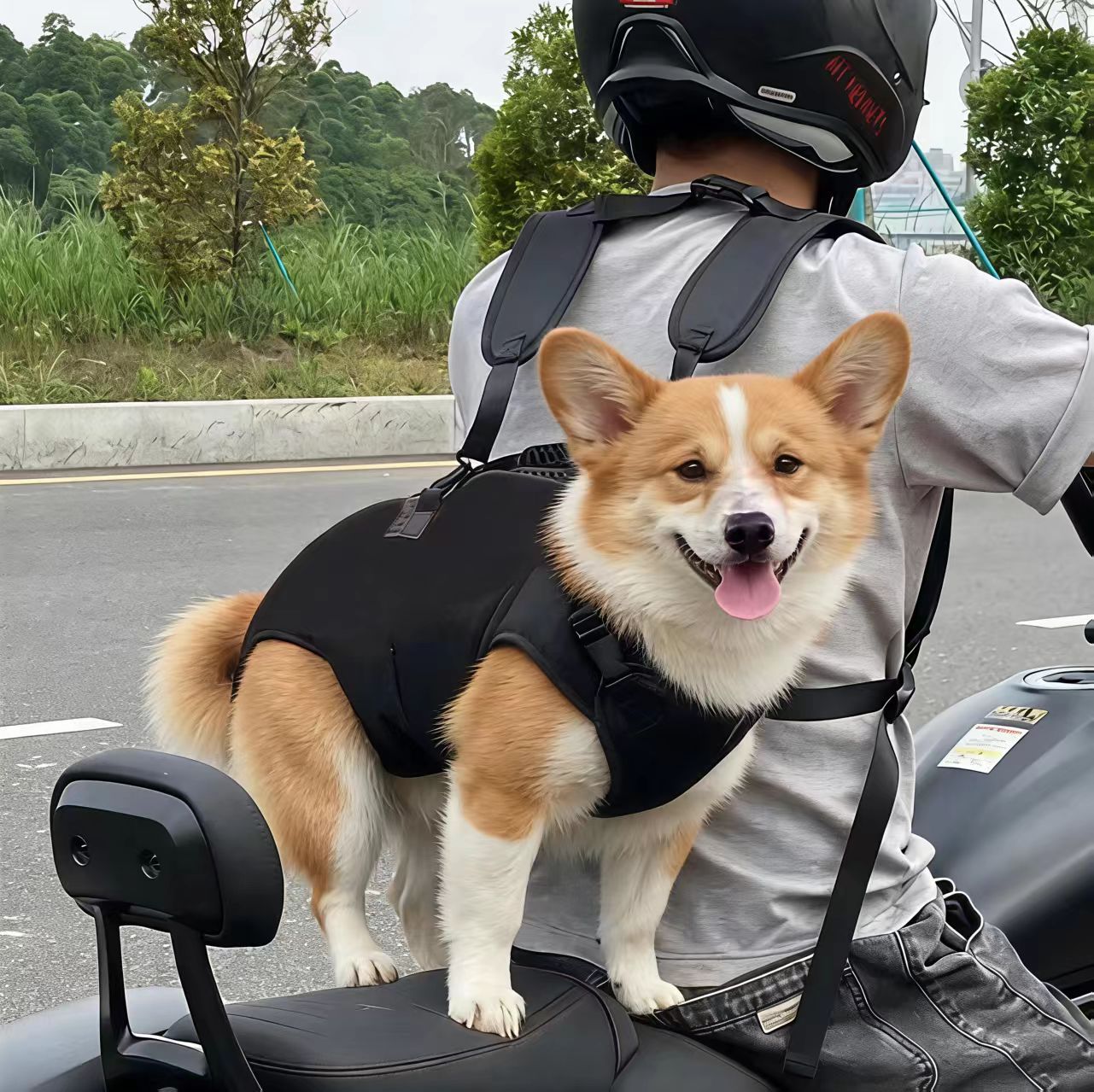 Dog Backpack