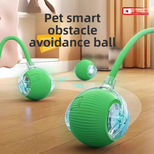 Dog ball
