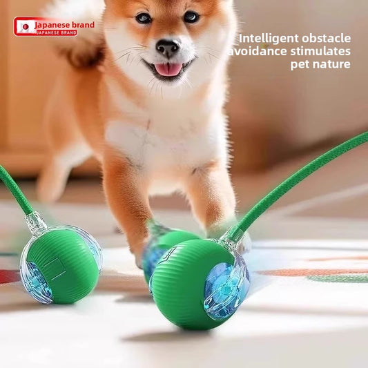 Dog ball