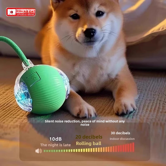Dog ball