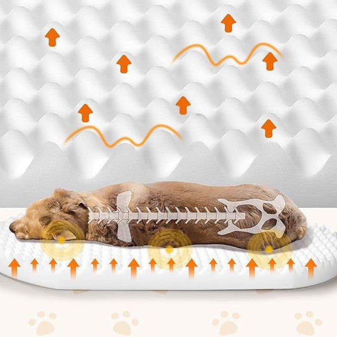 Dog bed