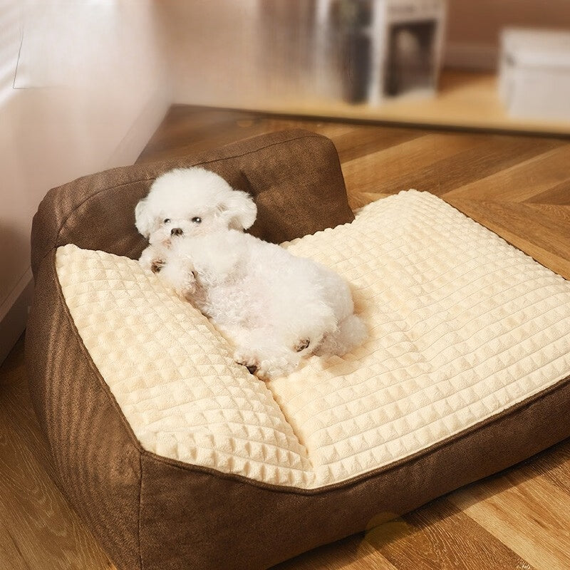 dog bed