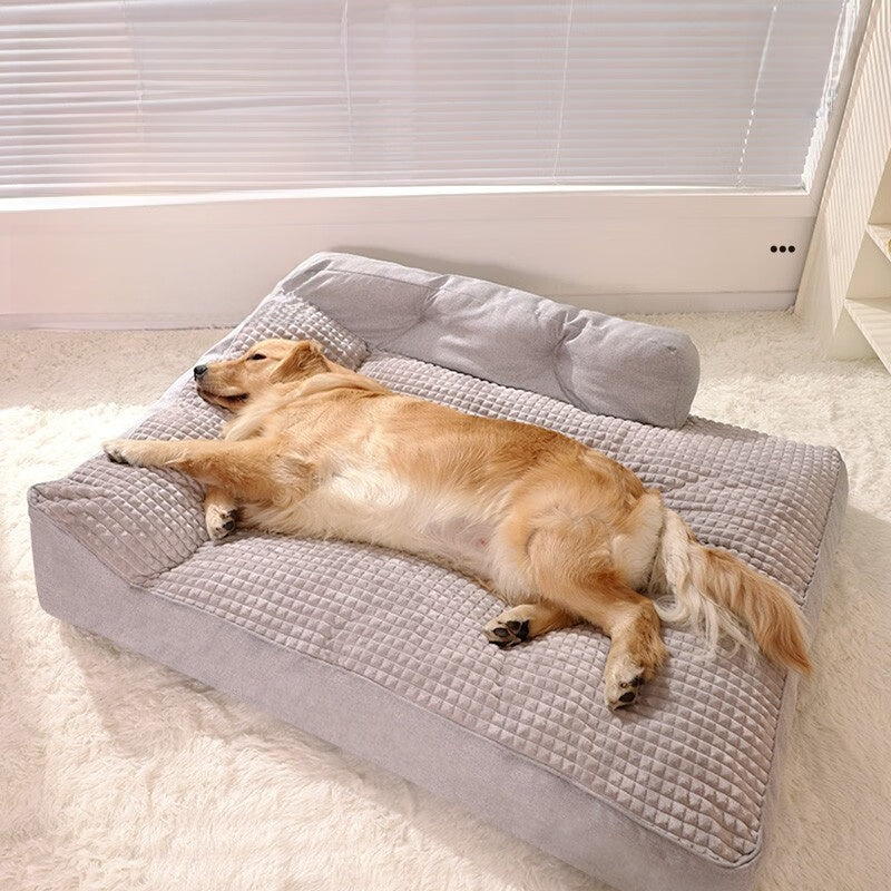 dog bed