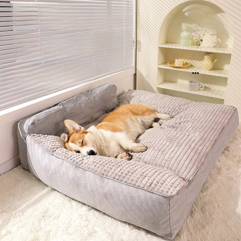 dog bed