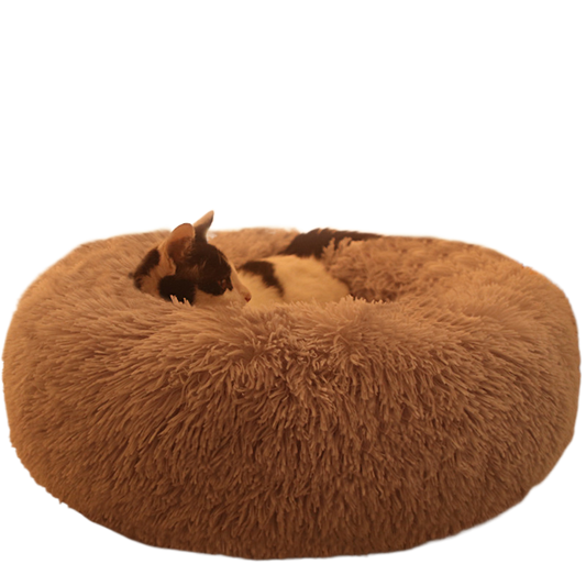 Dog bed