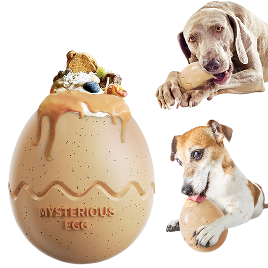 Dog Bites Toys
