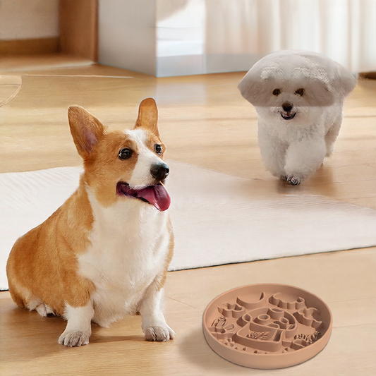 Dog Bowl Feeder