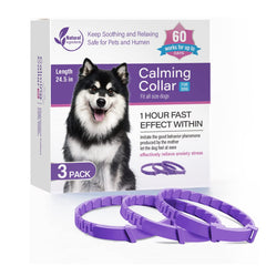 Purple big dog 3 pack