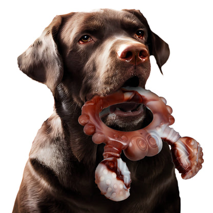 dog chew toy