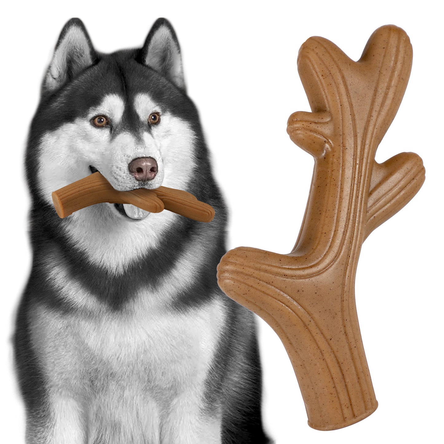 dog chew toy