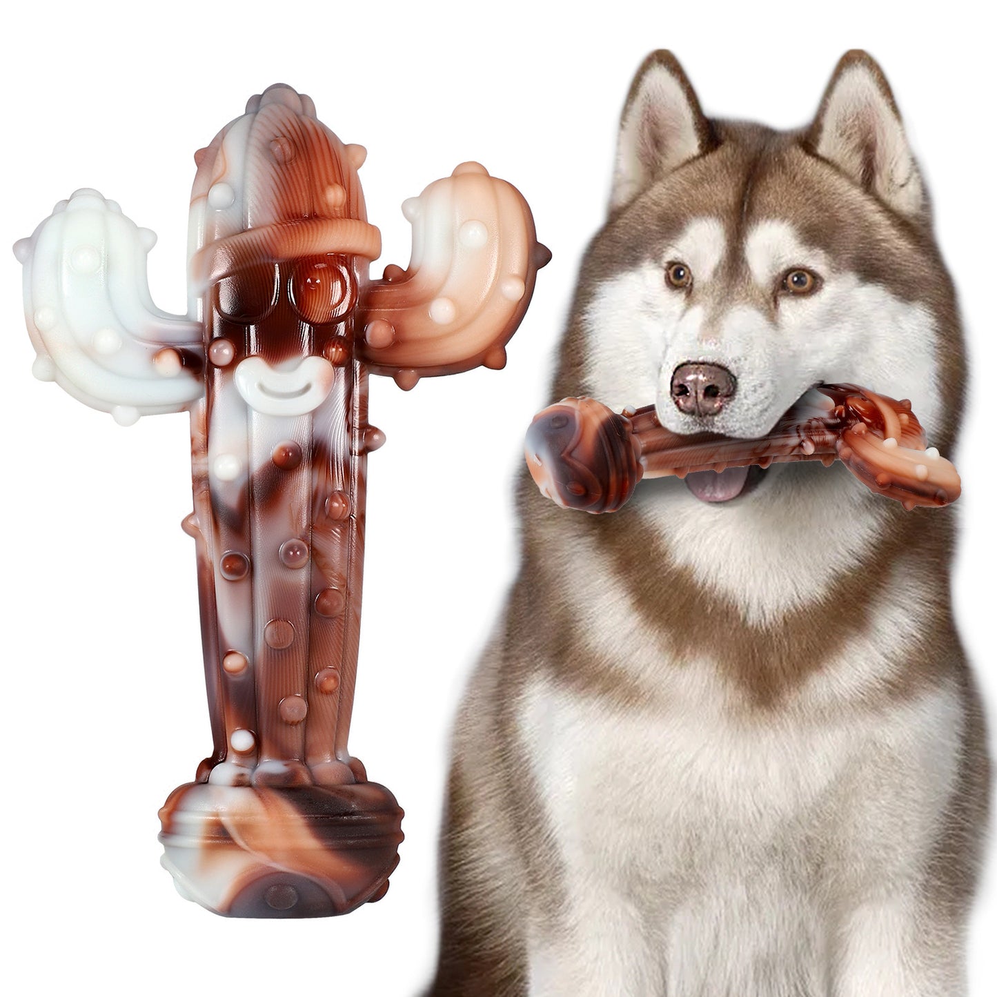 dog chew toy