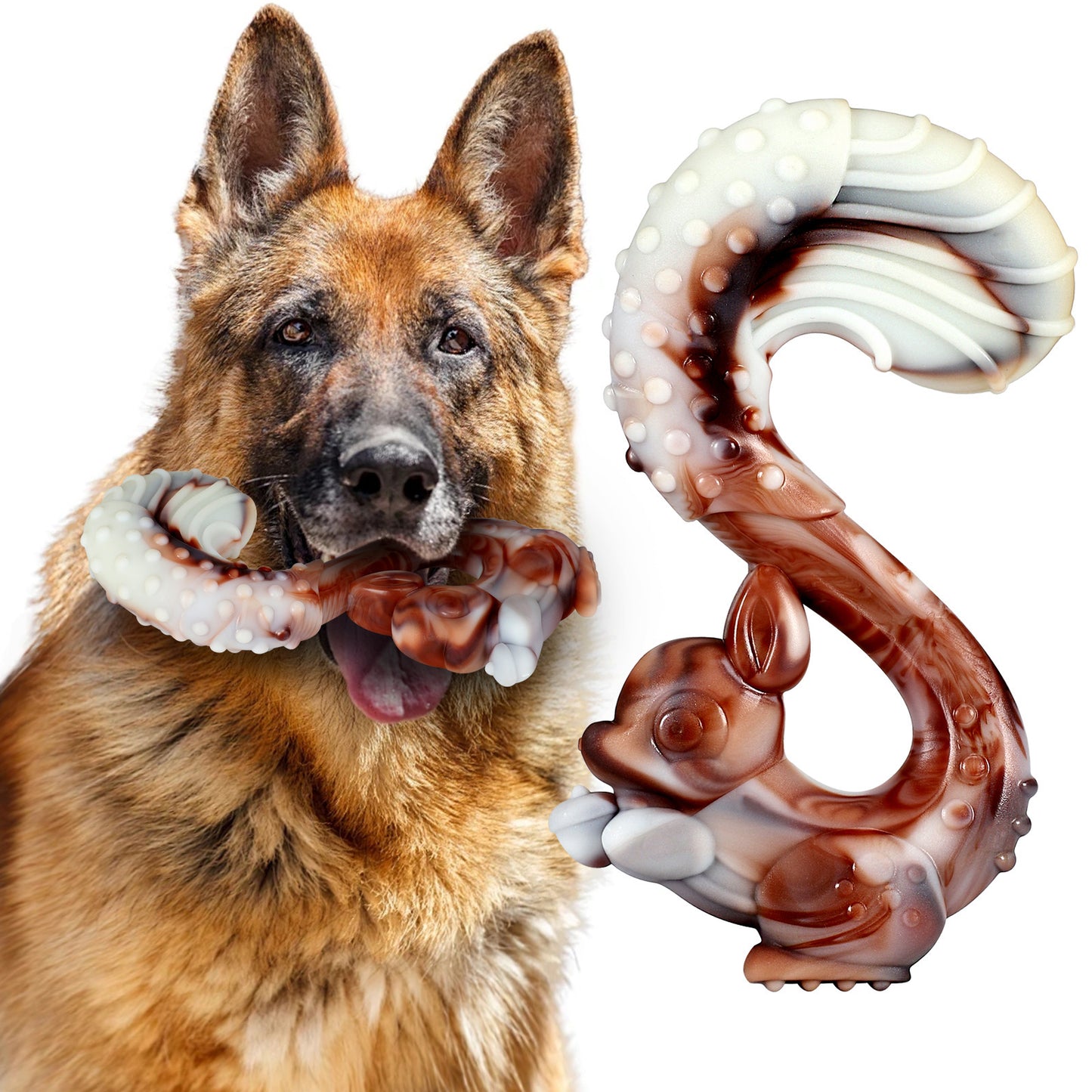 dog chew toy