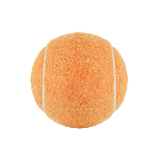 Dog Chew Toy