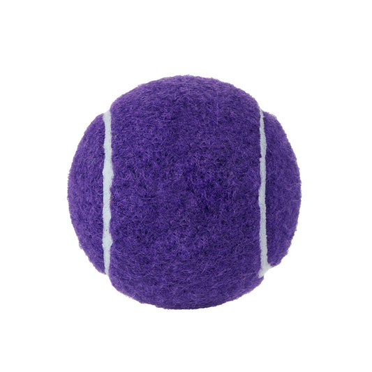 Dog Chew Toy