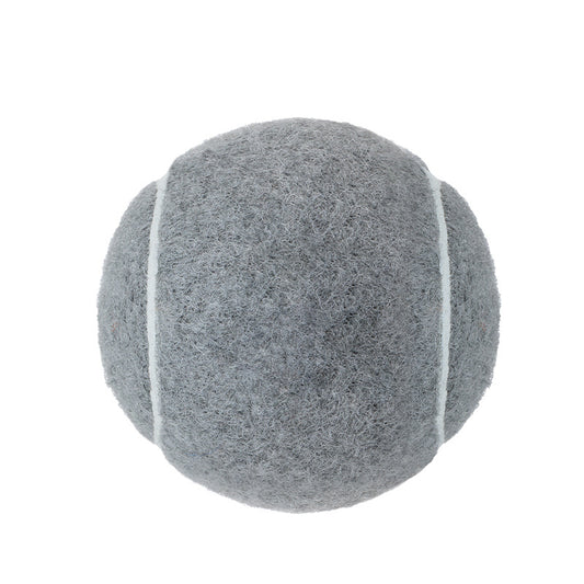 Dog Chew Toy