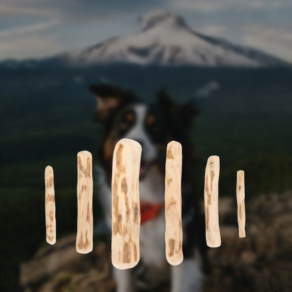 Dog Chew Toy