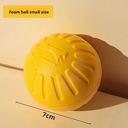 Dog Chew Toy