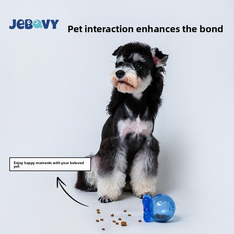 Dog Chew Toy