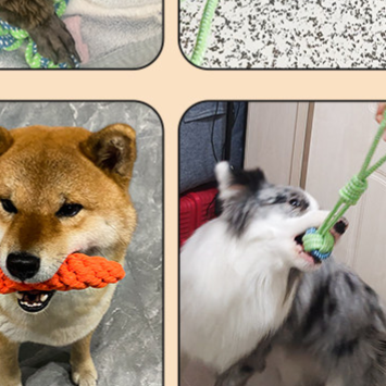 Dog chew toy
